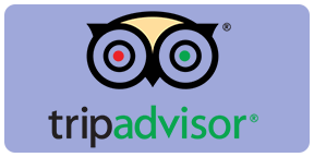 tripadvisor